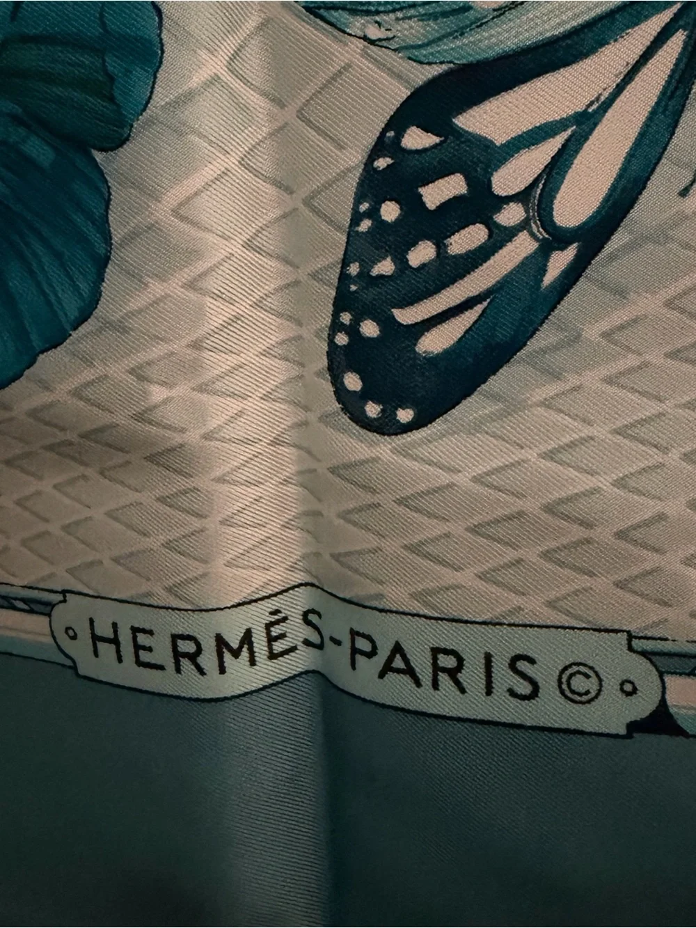 Hermes Farandole Scarf 🦋